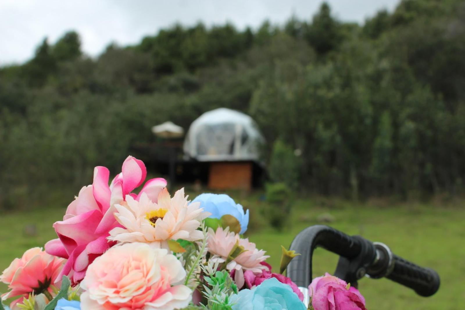 Glamping La Villa Guatavita ภายนอก รูปภาพ